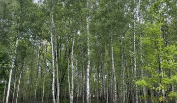 Działka budowlana Janinów, ul. Brazylijska