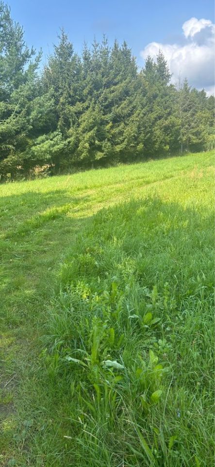 Działka rekreacyjna Bobięcino