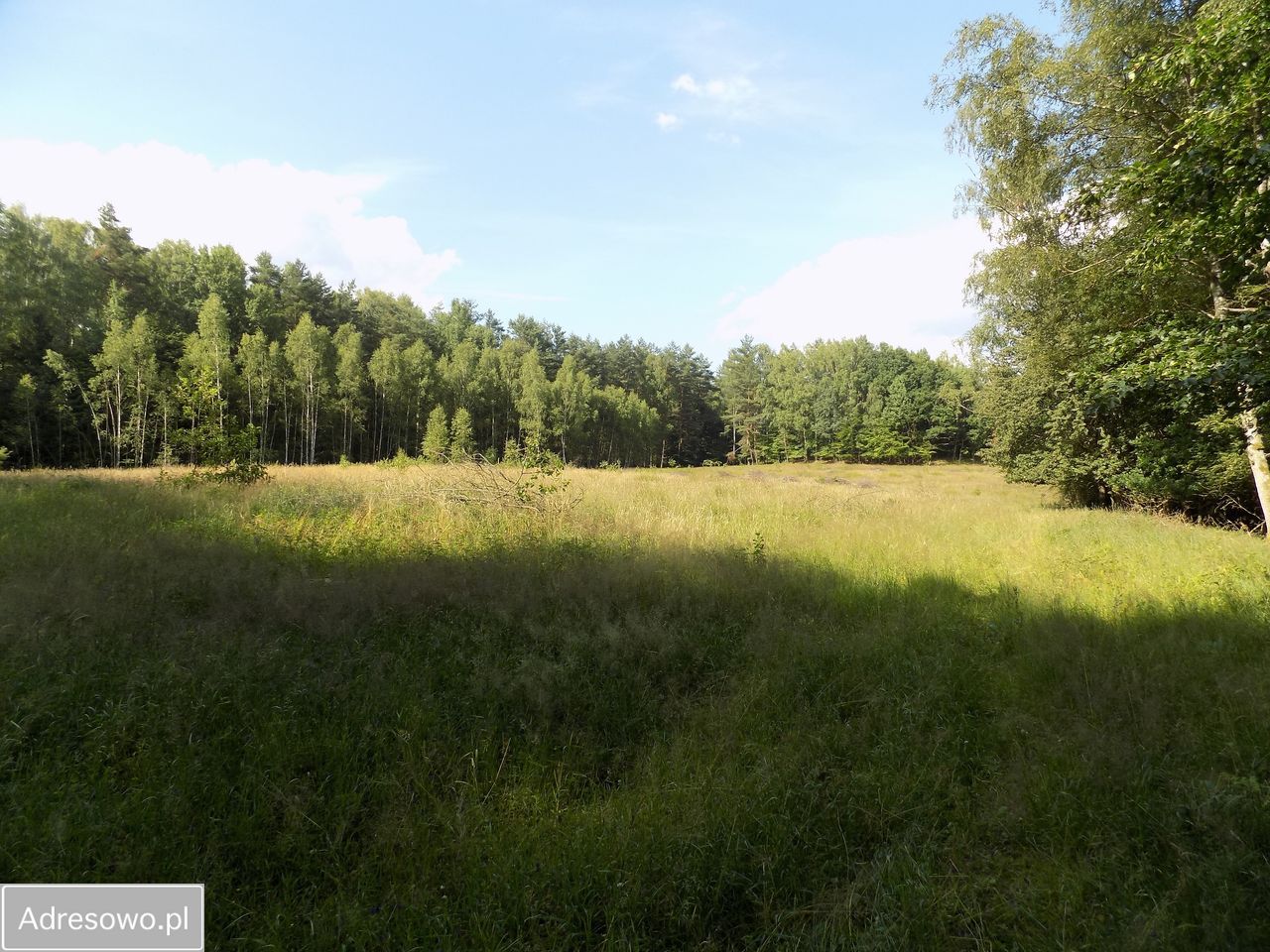 Działka budowlana Brzeźno. Zdjęcie 8