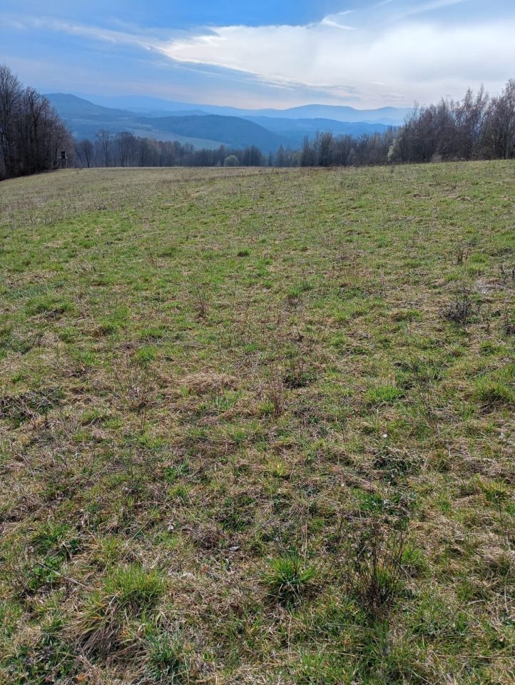 Działka rolna Radomice. Zdjęcie 3