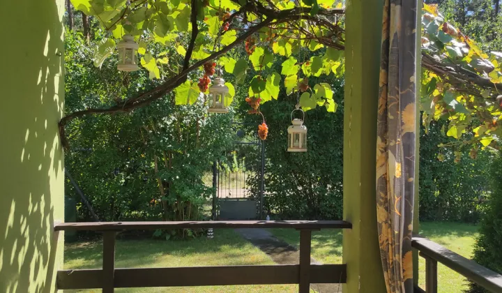 Działka rod Konin, ul. Świętojańska