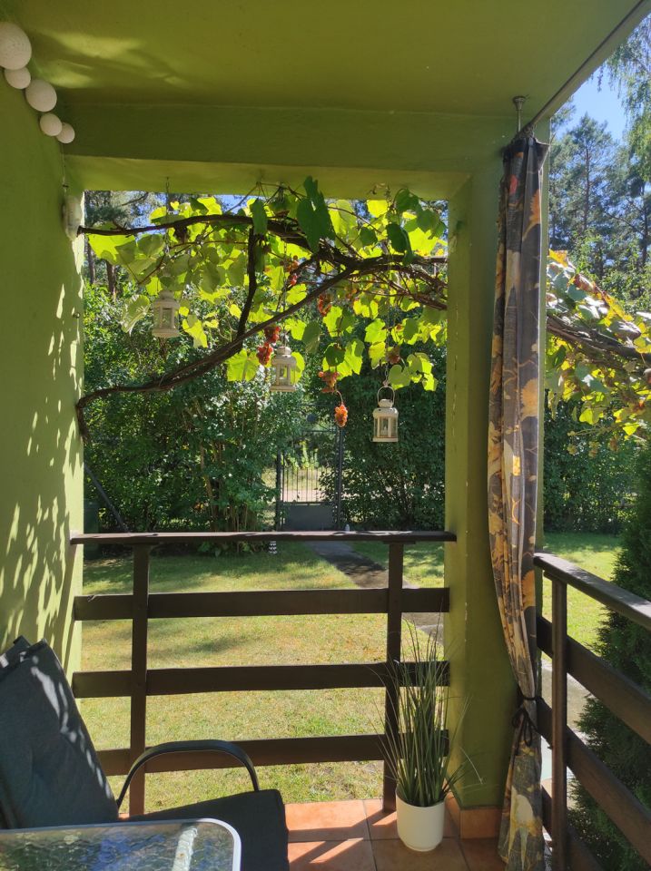 Działka rod Konin, ul. Świętojańska. Zdjęcie 1