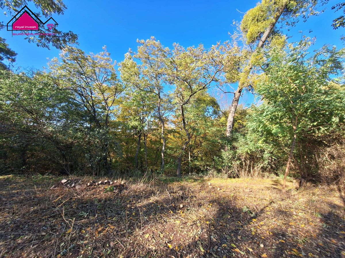 Działka budowlana Żółwieniec. Zdjęcie 7