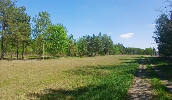 Działka budowlana Koryta, ul. Lipowa