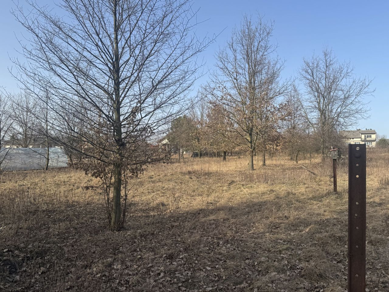 Działka siedliskowa Krzewina, Krzewina. Zdjęcie 12