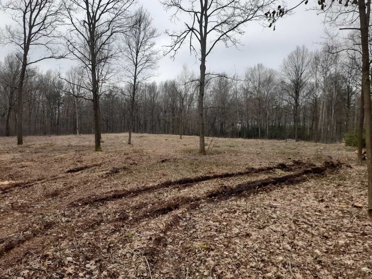 Działka rolno-budowlana Babsk. Zdjęcie 2