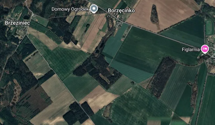Działka rolna Borzęcinko, brak