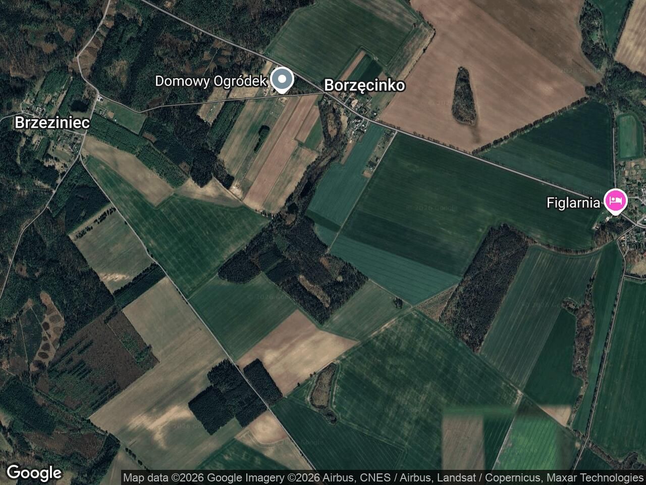Działka rolna Borzęcinko, brak. Zdjęcie 1