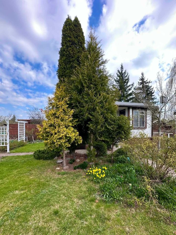 Działka rod Toruń Rudak. Zdjęcie 3