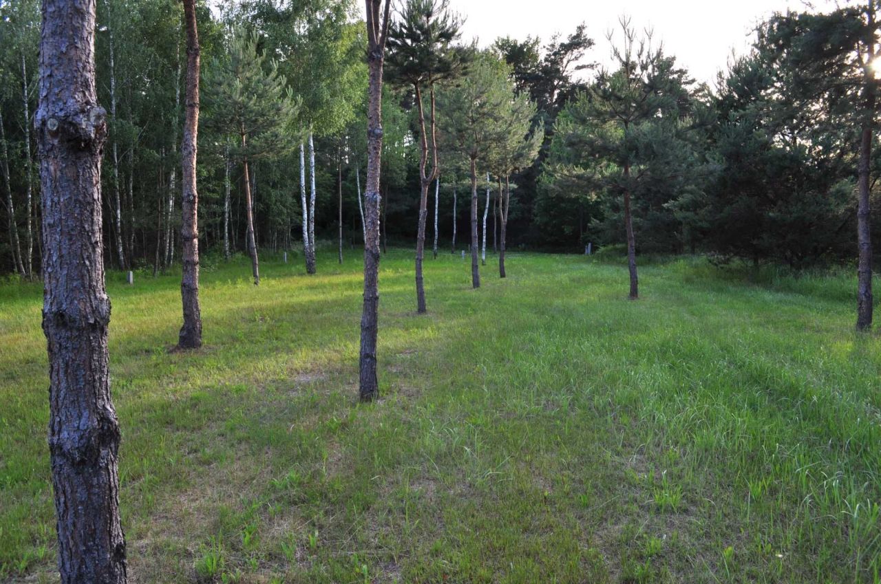 Działka budowlana Słopiec Rządowy-Kolonia. Zdjęcie 4