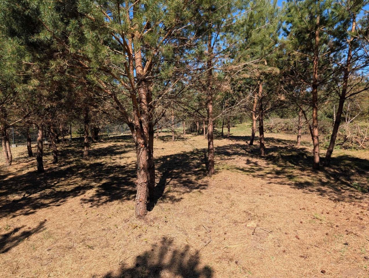 Działka budowlana Koczała. Zdjęcie 4