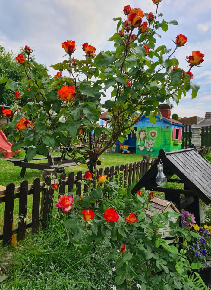 dom wolnostojący, 8 pokoi Strzelin, ul. Jana Krasińskiego. Zdjęcie 6