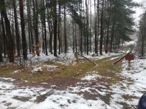 Działka leśna Przybynów, ul. Wojska Polskiego. Zdjęcie 1