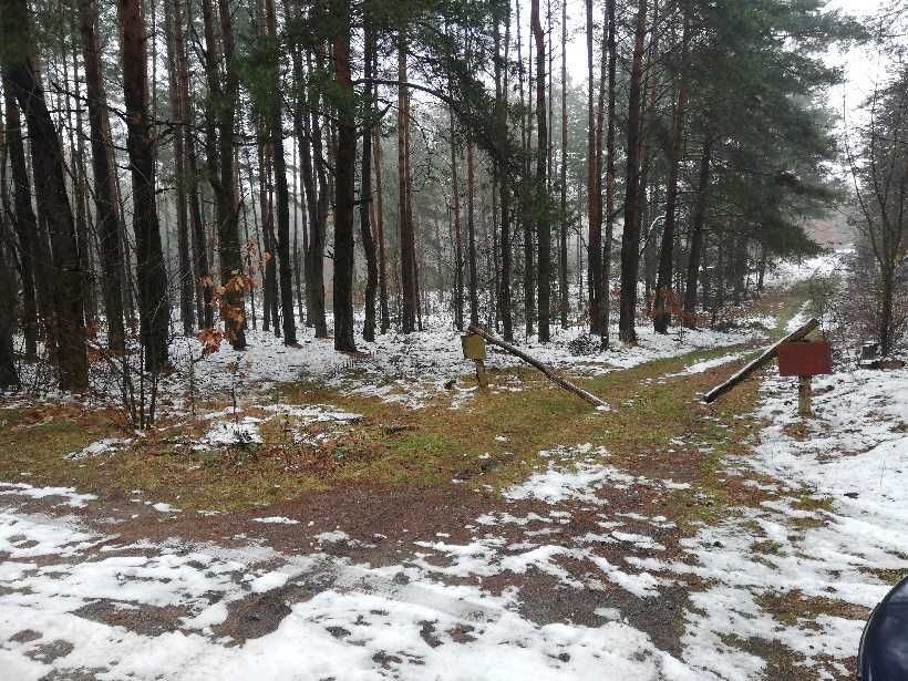 Działka leśna Przybynów, ul. Wojska Polskiego. Zdjęcie 2