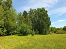 Działka rekreacyjna Dąbrowa. Zdjęcie 2