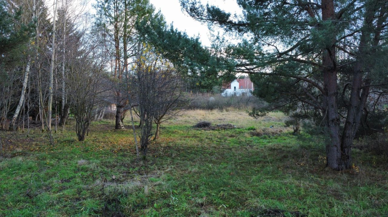 Działka rolno-budowlana Łupstych. Zdjęcie 4