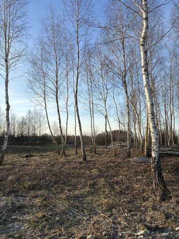 Działka budowlana Lipsko-Polesie. Zdjęcie 1