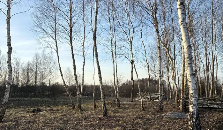 Działka budowlana Lipsko-Polesie