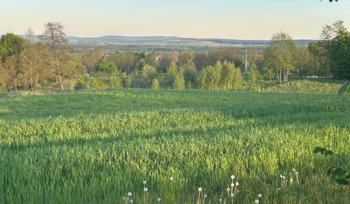 Działka budowlana Mąchocice Kapitulne, ul. Górna