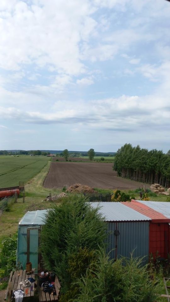 Działka rolna Białki