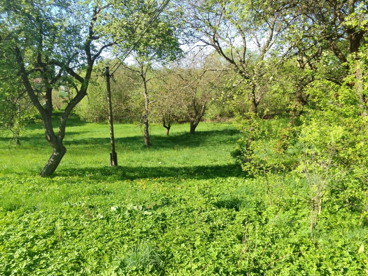 Działka rolno-budowlana Bukowiec. Zdjęcie 2