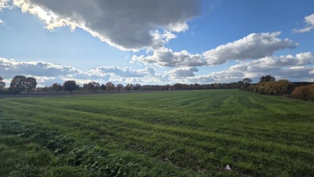 Działka rolna Nowe Miasto-Folwark. Zdjęcie 8