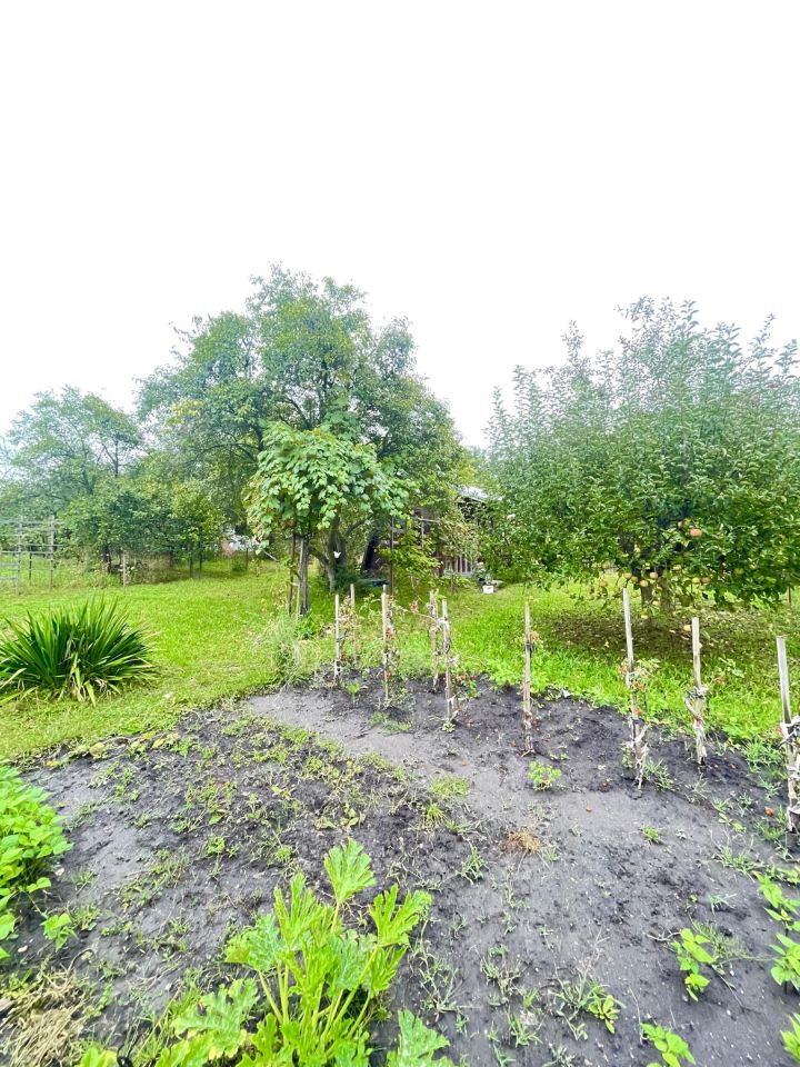 Działka rod Wrocław Partynice. Zdjęcie 15