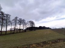 Działka rolna Czarna. Zdjęcie 4