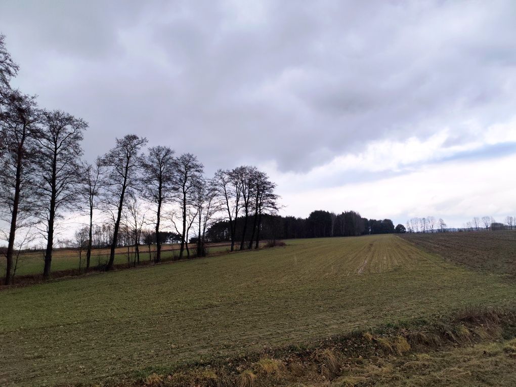 Działka rolna Czarna. Zdjęcie 5