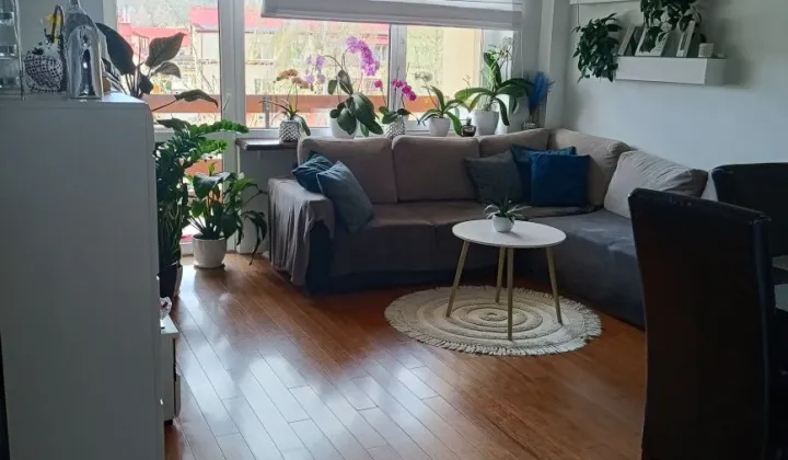 Mieszkanie 3-pokojowe Gostynin, ul. Wspólna