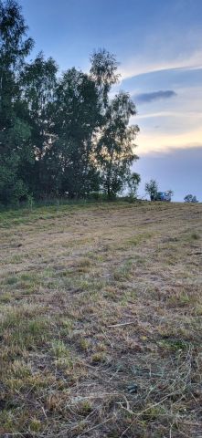 Działka rolno-budowlana Łodzina. Zdjęcie 1