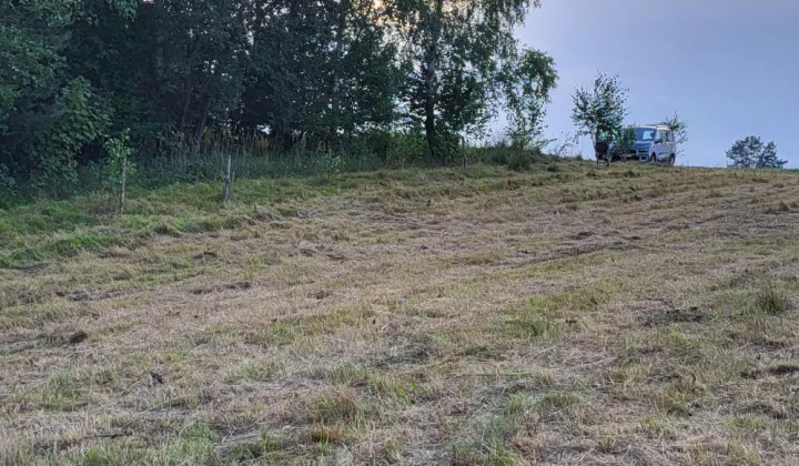 Działka rolno-budowlana Łodzina