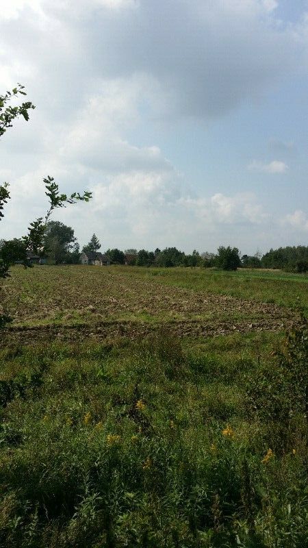 Działka budowlana Wołowice. Zdjęcie 6