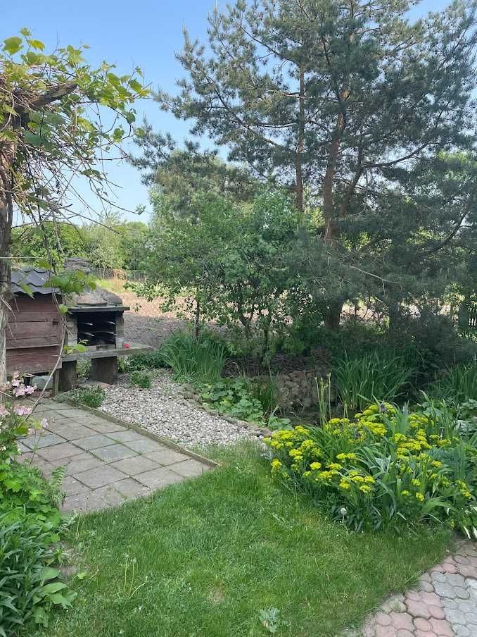 dom wolnostojący Dzierzgowo. Zdjęcie 7