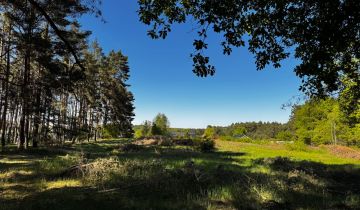 Działka siedliskowa Sudoł