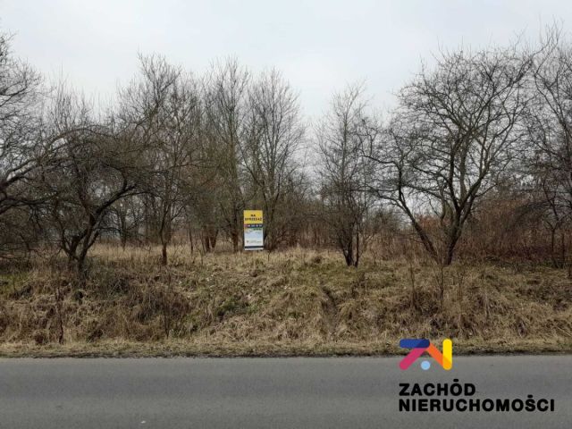 Działka rolna Mirocin Dolny. Zdjęcie 2