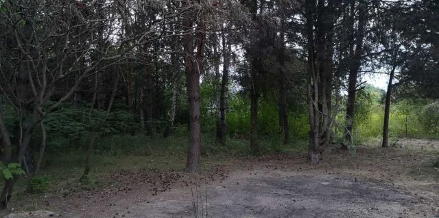 Działka budowlana Łoś, ul. Spółdzielcza. Zdjęcie 1