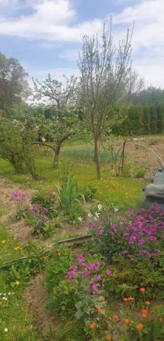 Działka rekreacyjna Jasło, ul. 17 Stycznia. Zdjęcie 1