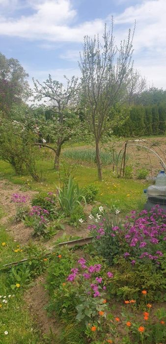 Działka rekreacyjna Jasło, ul. 17 Stycznia