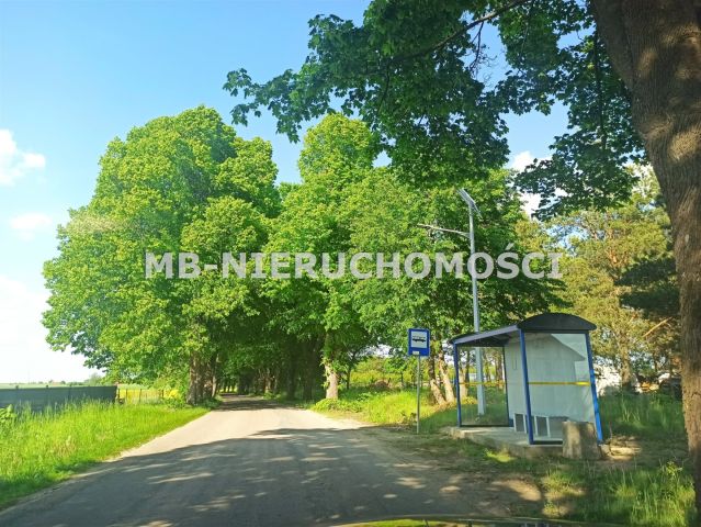Działka budowlana Królikowo. Zdjęcie 3