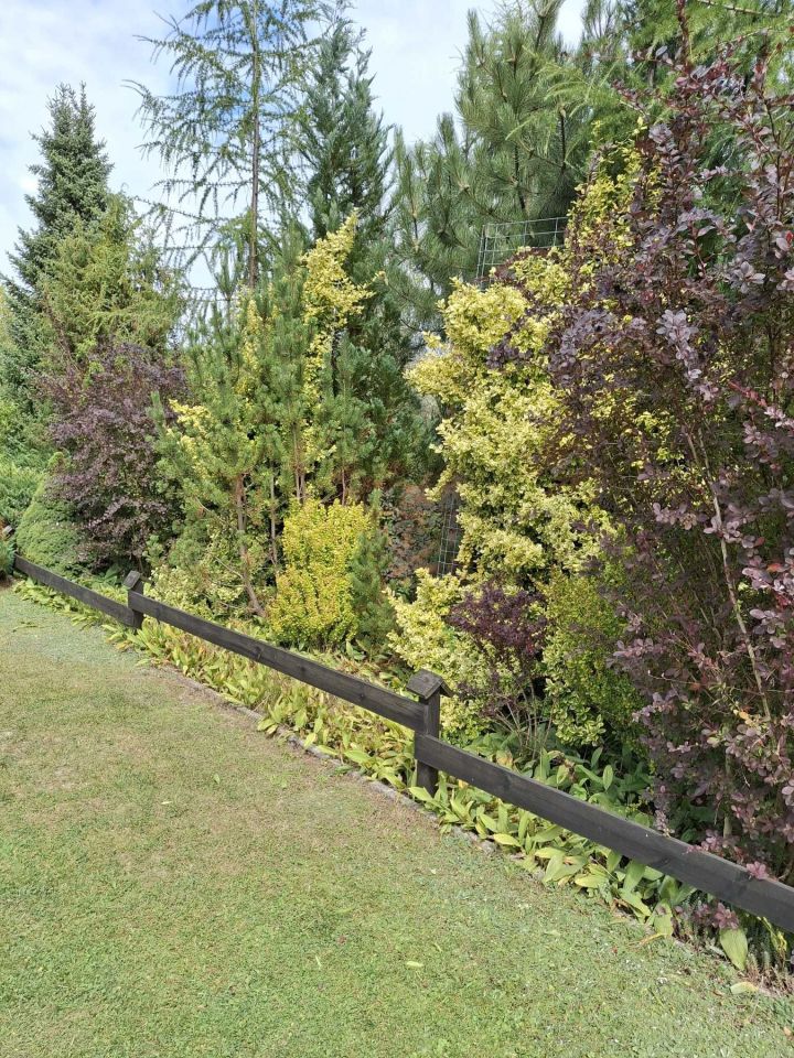 Działka rod Lublin, ul. Lipska. Zdjęcie 2