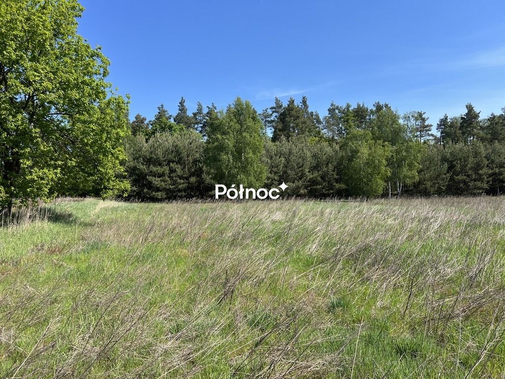 Działka rolno-budowlana Tymowa. Zdjęcie 21
