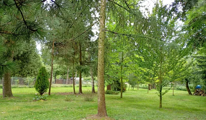 Działka budowlana Karolina