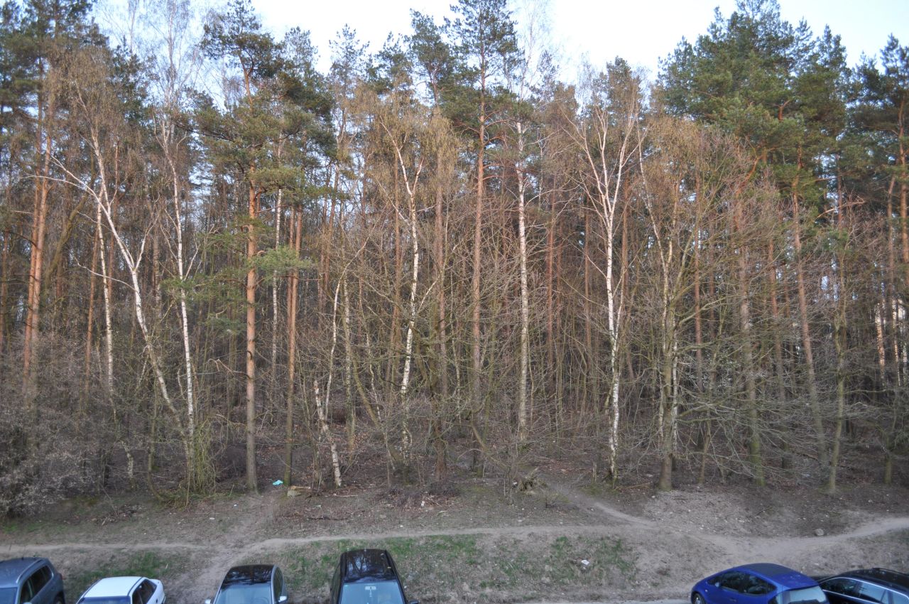 Pokój Gdańsk Złota Karczma, ul. Złota Karczma. Zdjęcie 3
