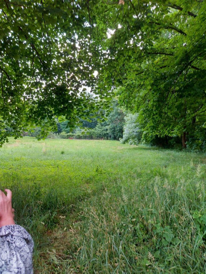 Działka budowlana Mąkoszyce. Zdjęcie 6