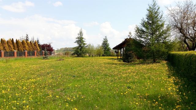 Działka budowlana Różankowo. Zdjęcie 1