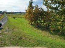 Działka budowlana Wojsławice. Zdjęcie 1