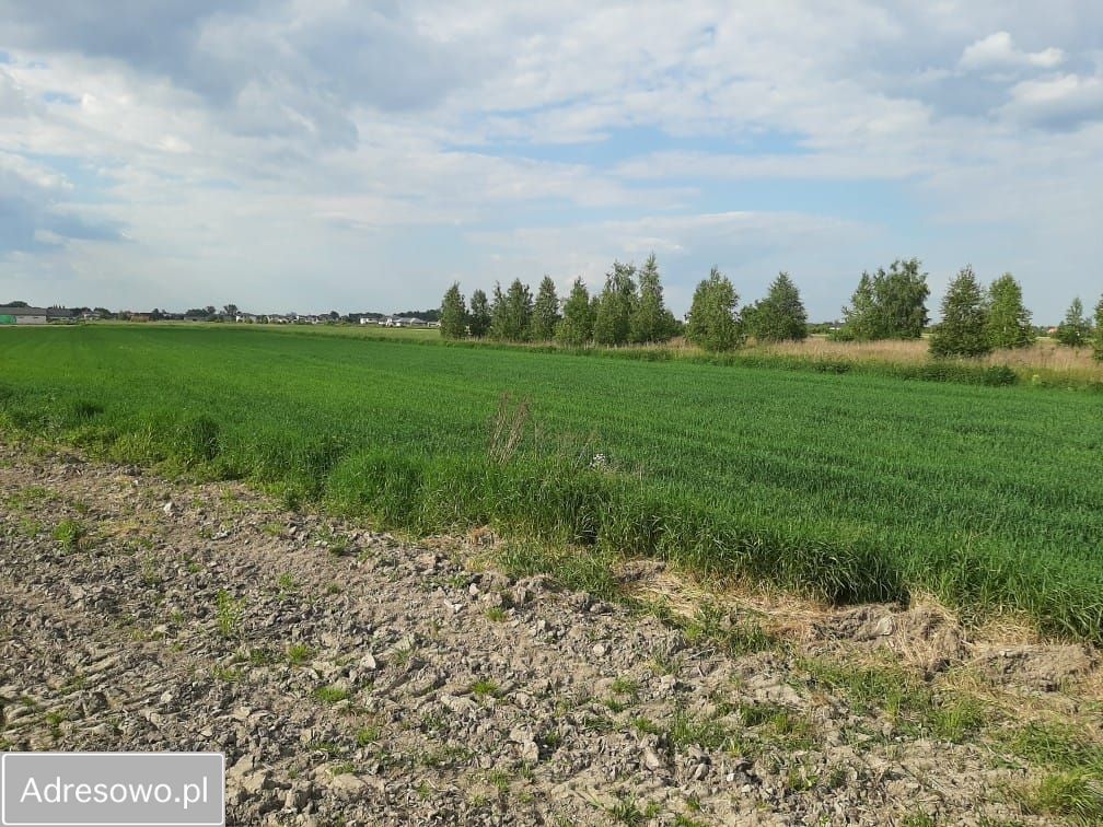 Działka budowlana Łady. Zdjęcie 3