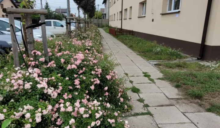 Mieszkanie 2-pokojowe Wołomin, Błotna