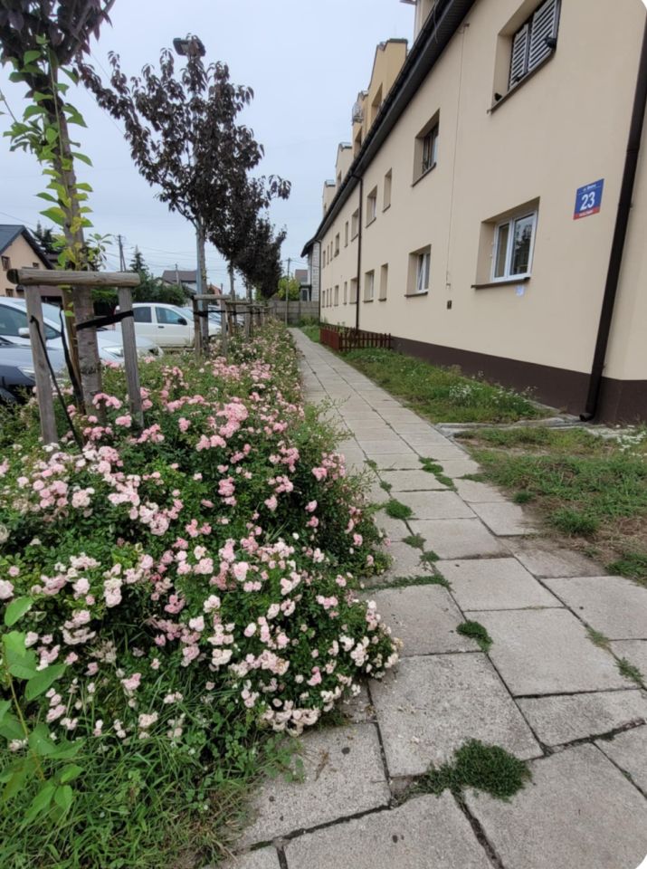 Mieszkanie 2-pokojowe Wołomin, ul. Błotna. Zdjęcie 2